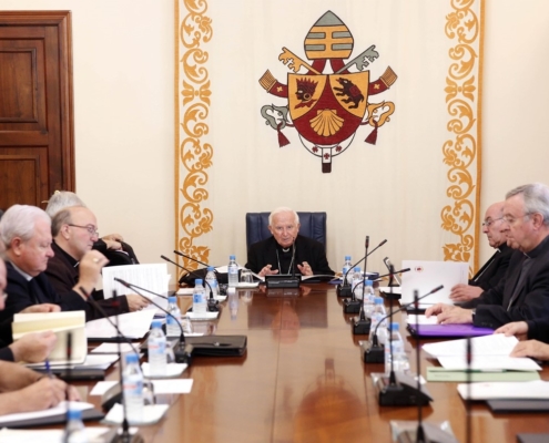 Los obispos de la Provincia Eclesiástica Valentina, integrada por las tres diócesis de la Comunitat Valenciana y las tres de las Islas Baleares, han celebrado hoy una reunión ordinaria en el Palacio Arzobispal, presidida por el cardenal arzobispo de Valencia, Antonio Cañizares. Entre otros asuntos que han abordado, los obispos han reflexionado sobre propuestas para la Iniciación Cristiana y también sobre la atención a los enfermos y a las personas que están en los últimos momentos de su vida. En el encuentro han participado los obispos de Segorbe-Castellón, monseñor Casimiro López; de Orihuela-Alicante, monseñor Jesús Murgui; de Menorca, monseñor Francesc Conesa; de Mallorca, monseñor Sebastià Taltavull; de Ibiza, monseñor Vicente Juan; los obispos auxiliares de Valencia, monseñores Esteban Escudero, Arturo Ros y Javier Salinas, así como el vicario general de Valencia, Vicente Fontestad.